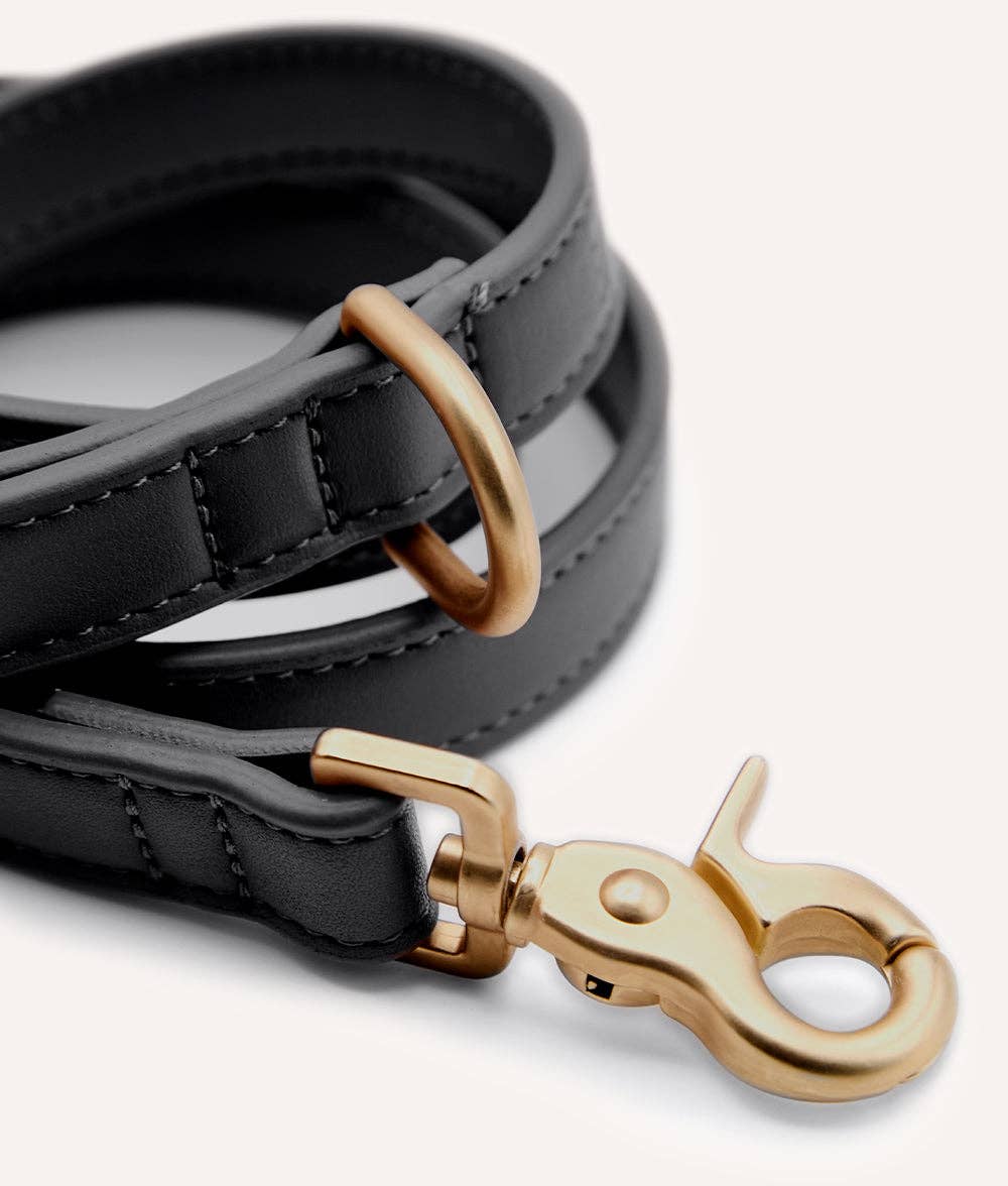 Black leather dog leash with gold clasp on a white background
