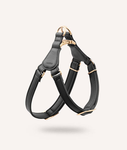Black leather dog harness with gold hardware on a light gray background