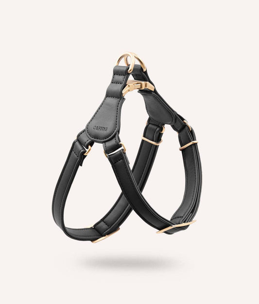 Black leather dog harness with gold hardware on a light gray background