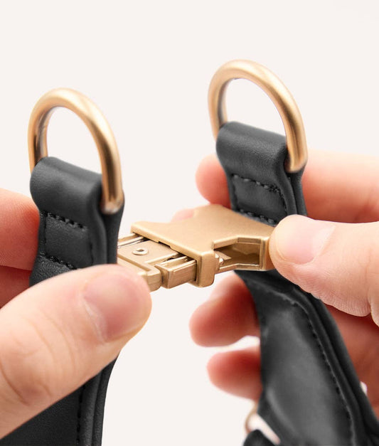 Close-up of a black leather strap with a gold buckle held by a hand against a white background