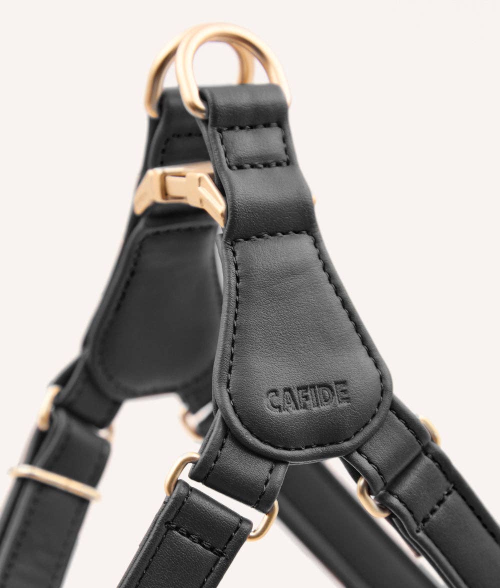 Black leather harness with gold hardware on a white background