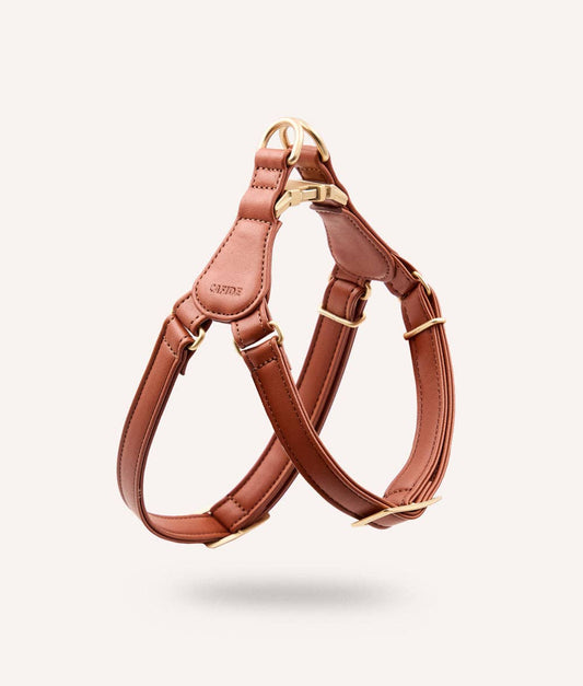 Brown leather dog harness with gold hardware on a light gray background