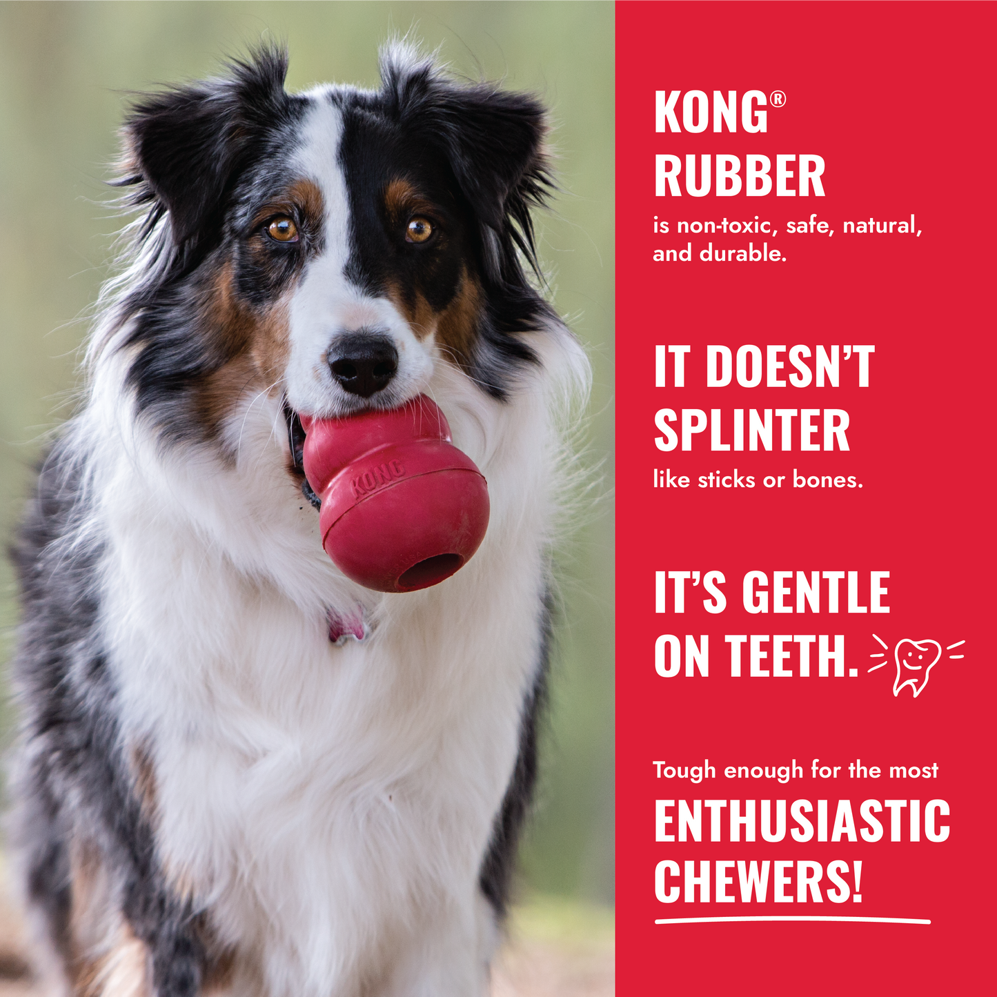 KONG Ball with Rope – Durable Fetch & Tug Dog Toy