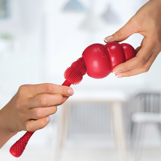 KONG Brush – Toy Cleaning Brush for KONG Classic & Extreme