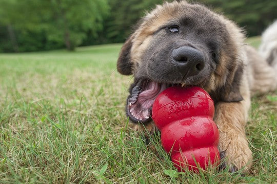 KONG Classic Large – Durable Chew Toy for 13-30 kg Dogs