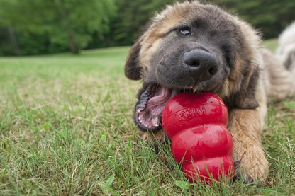 KONG Classic Large – Durable Chew Toy for 13-30 kg Dogs