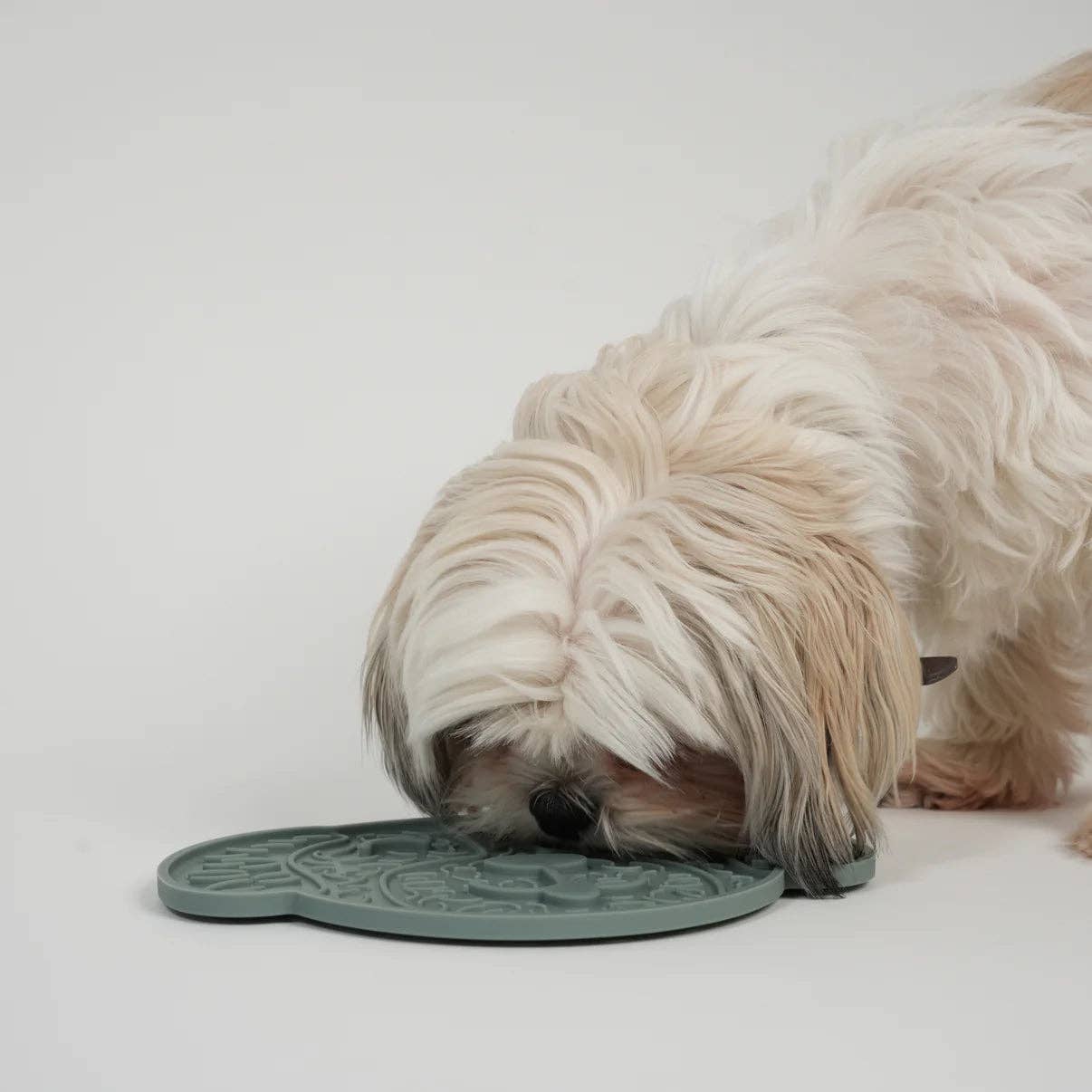 Dog interacting with a green pet mat on a white background