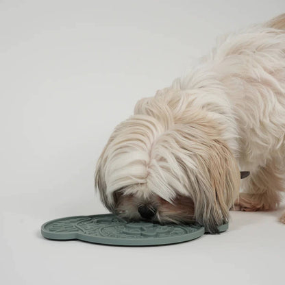 Dog interacting with a green pet mat on a white background