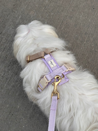 Adjustable Padded Dog Harness PRO Lilac – Dual Clip, Brass Details