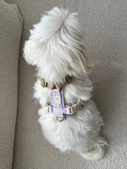 Adjustable Padded Dog Harness PRO Lilac – Dual Clip, Brass Details