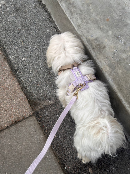 Adjustable Padded Dog Harness PRO Lilac – Dual Clip, Brass Details