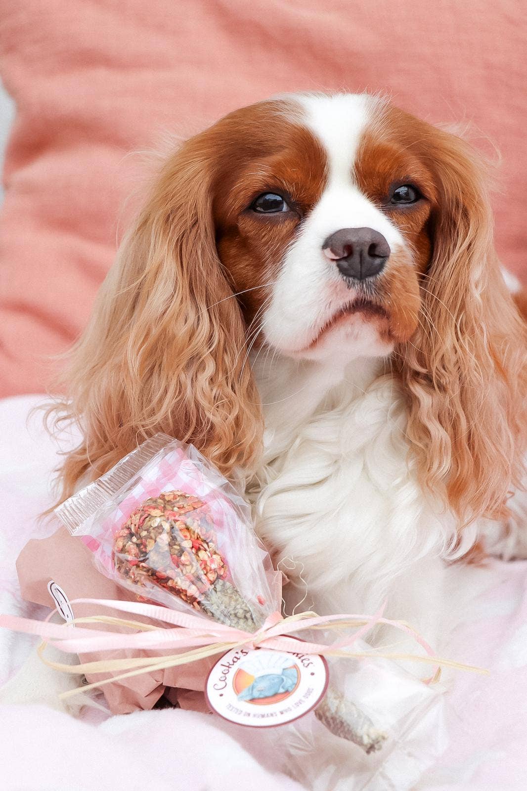 Dog with a bouquet of flowers on a pink blanket