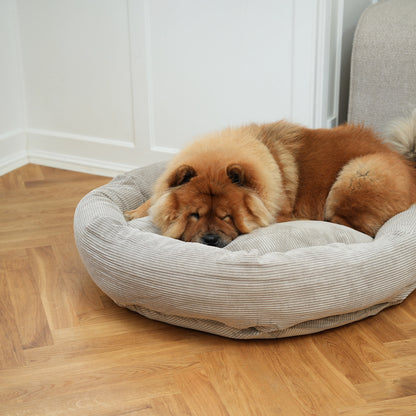 Dog resting on a cushioned pet bed in a room with wooden flooring.