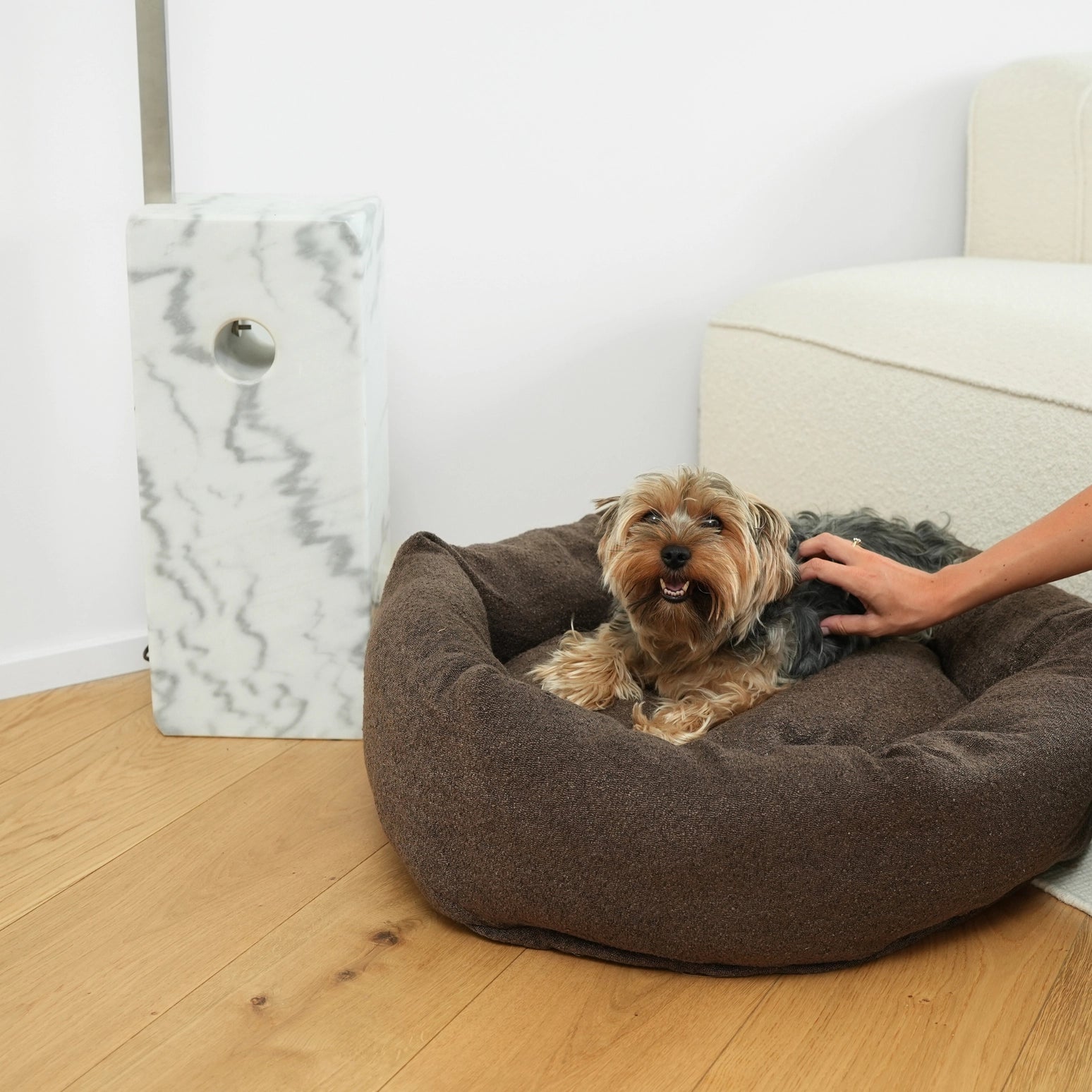 Dog lying on a brown pet bed with a person petting it, in a room with a white couch and marble-patterned item.