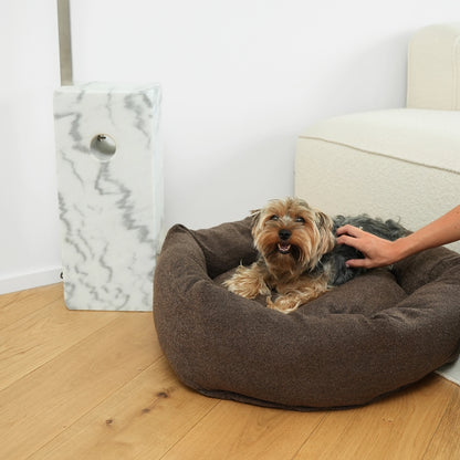 Dog lying on a brown pet bed with a person petting it, in a room with a white couch and marble-patterned item.