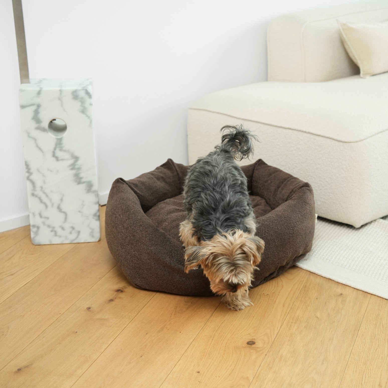 Small dog sitting on a brown pet bed in a living room.