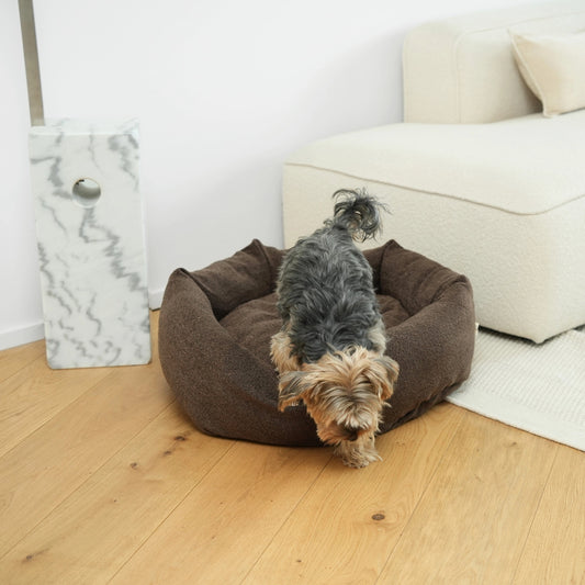 Small dog sitting on a brown pet bed in a living room.