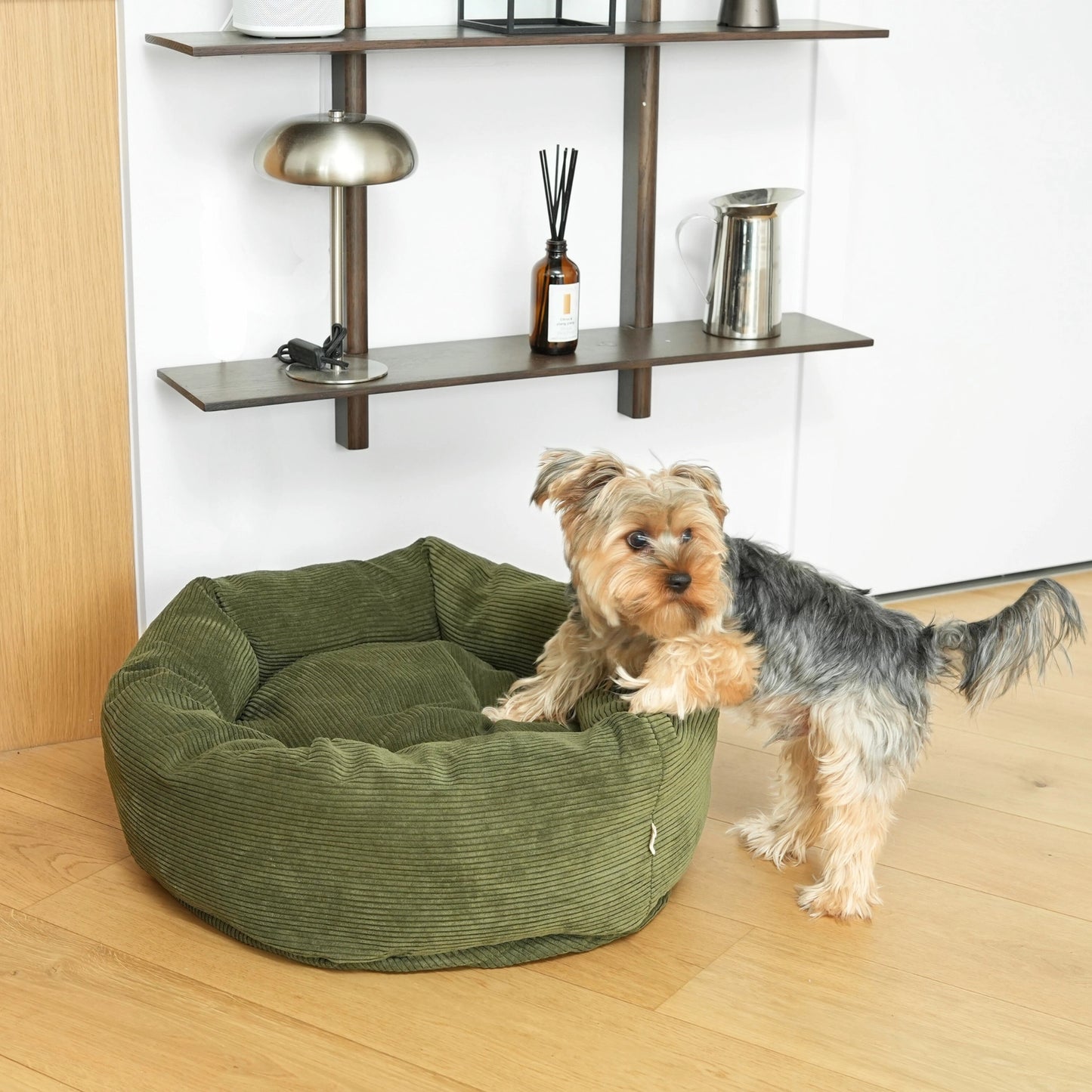 Dog standing next to a green dog bed on a wooden floor with shelves in the background.