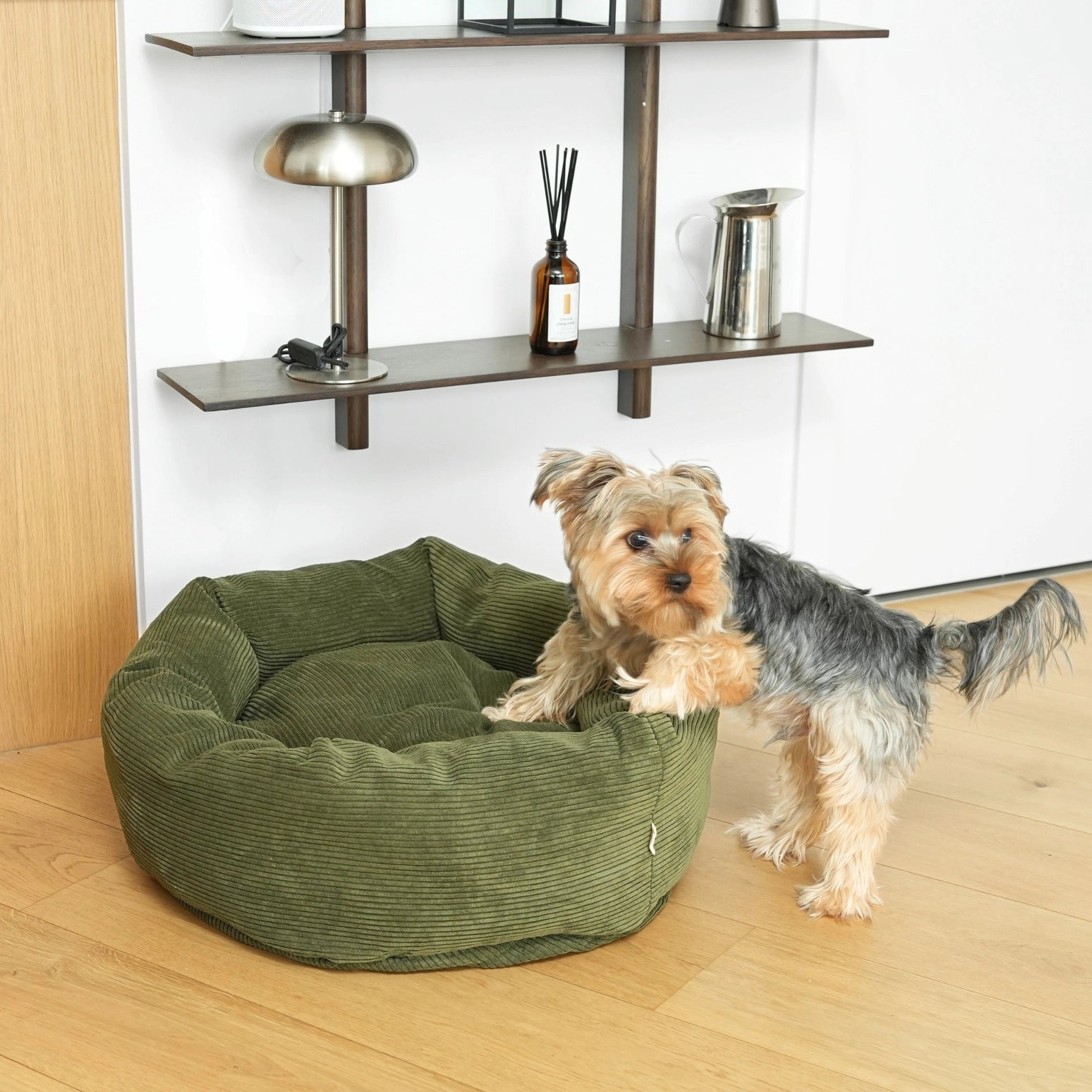 Dog standing next to a green dog bed on a wooden floor with shelves in the background.