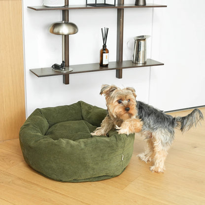 Dog standing next to a green dog bed on a wooden floor with shelves in the background.