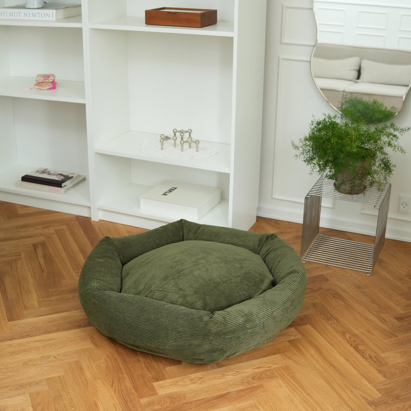 Green pet bed on a wooden floor with a white bookshelf and plant in the background
