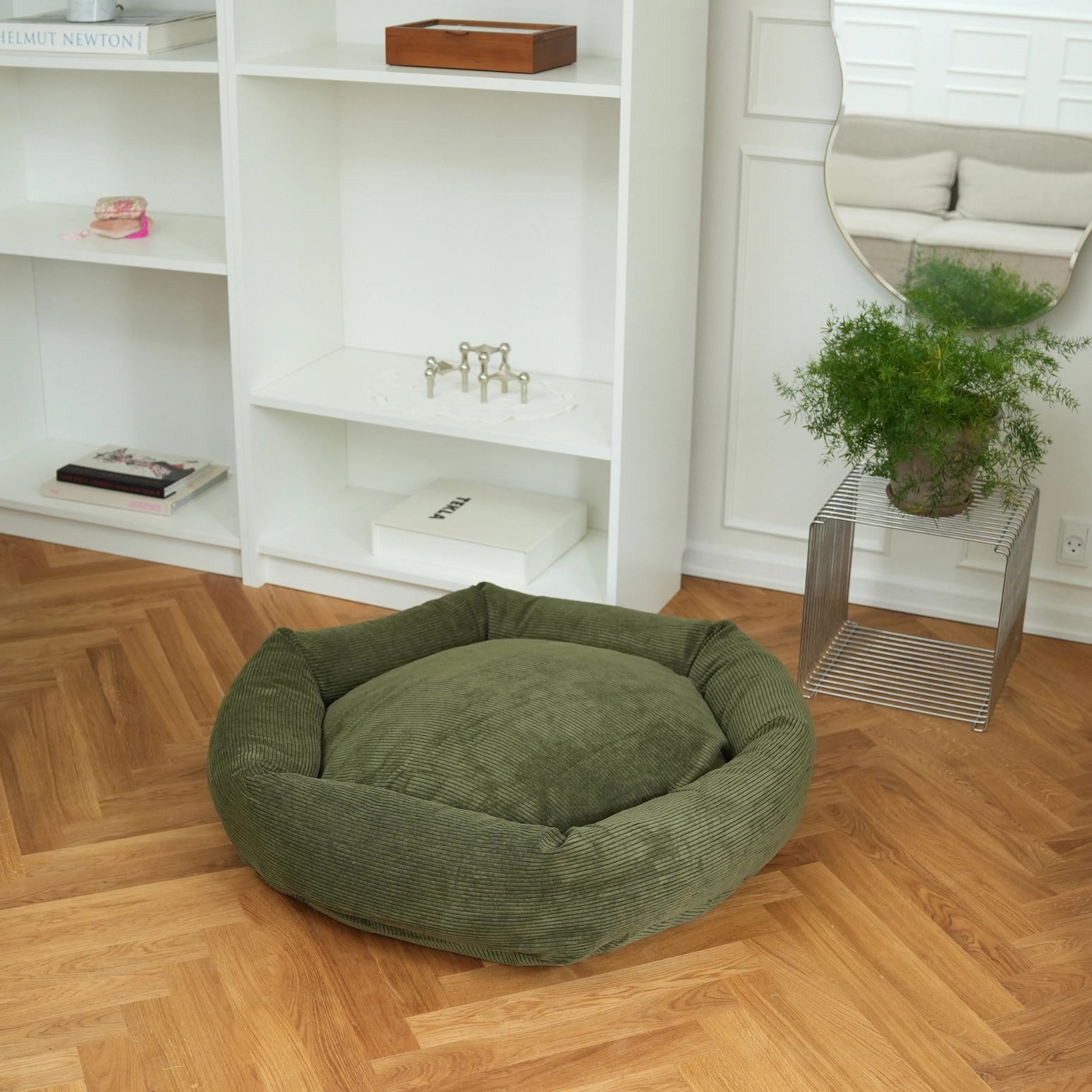 Green pet bed on a wooden floor with a white bookshelf and plant in the background
