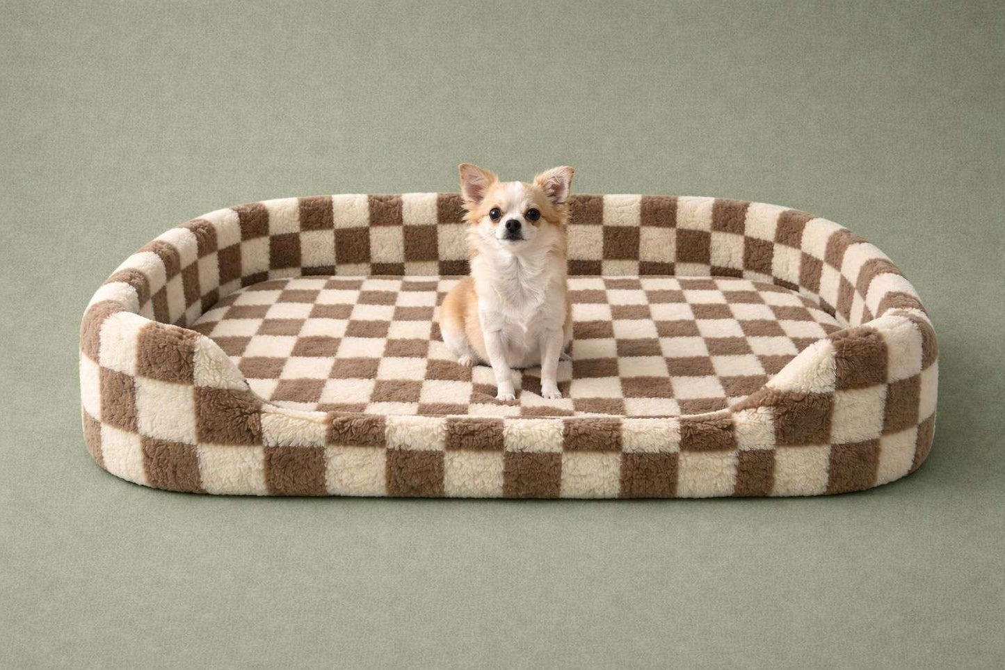 A small chihuahua sits centered in a plush oval pet bed with a brown and cream checkered pattern, set against a solid sage green background.