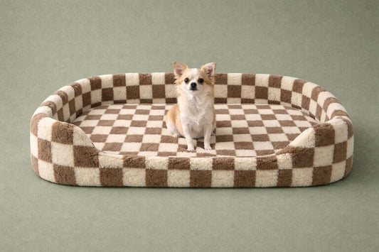 A small chihuahua sits centered in a plush oval pet bed with a brown and cream checkered pattern, set against a solid sage green background.