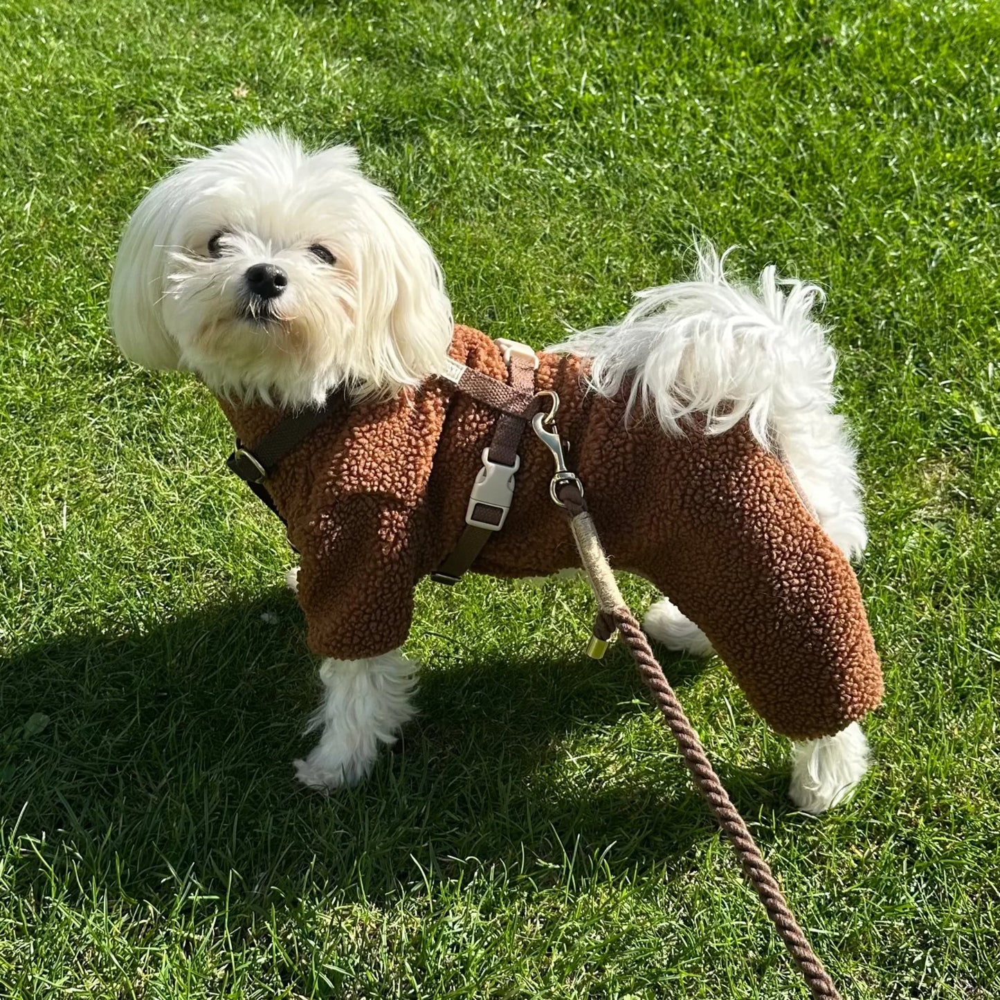 Milo Dog Sweater Brown in Soft Teddy Fleece