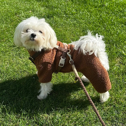 Milo Dog Sweater Brown in Soft Teddy Fleece