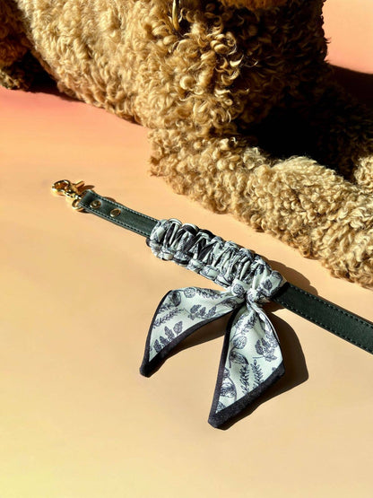 Dog collar with decorative bow on a beige background