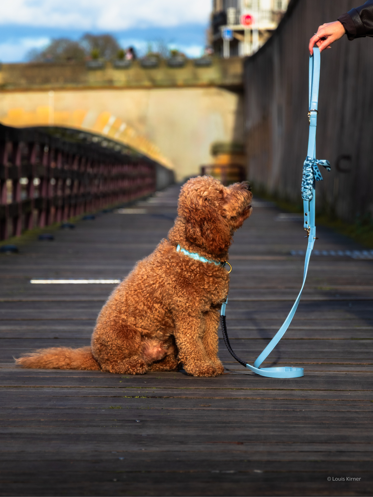 Multi-Position Dog Leash with Bandana | Vegan Leather | Hands-Free | Blue