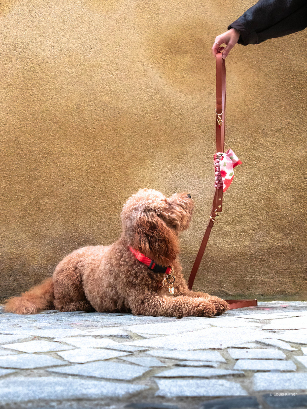 Multi-Position Dog Leash with Bandana | Vegan Leather | Hands-Free | Mocka