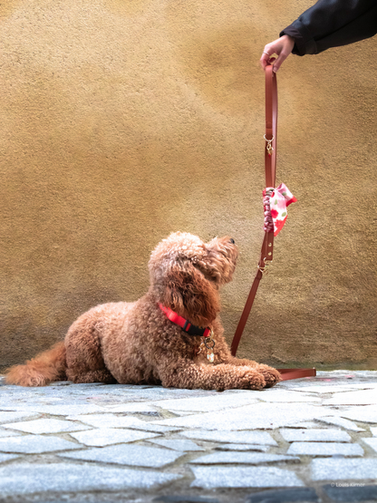 Multi-Position Dog Leash with Bandana | Vegan Leather | Hands-Free | Mocka
