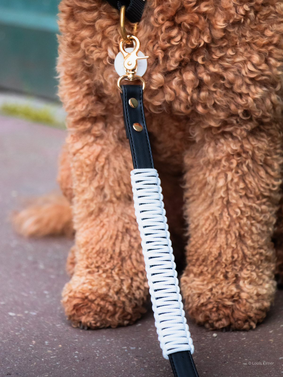 Multi-Position Dog Leash with Bandana | Vegan Leather | Hands-Free | Shadow