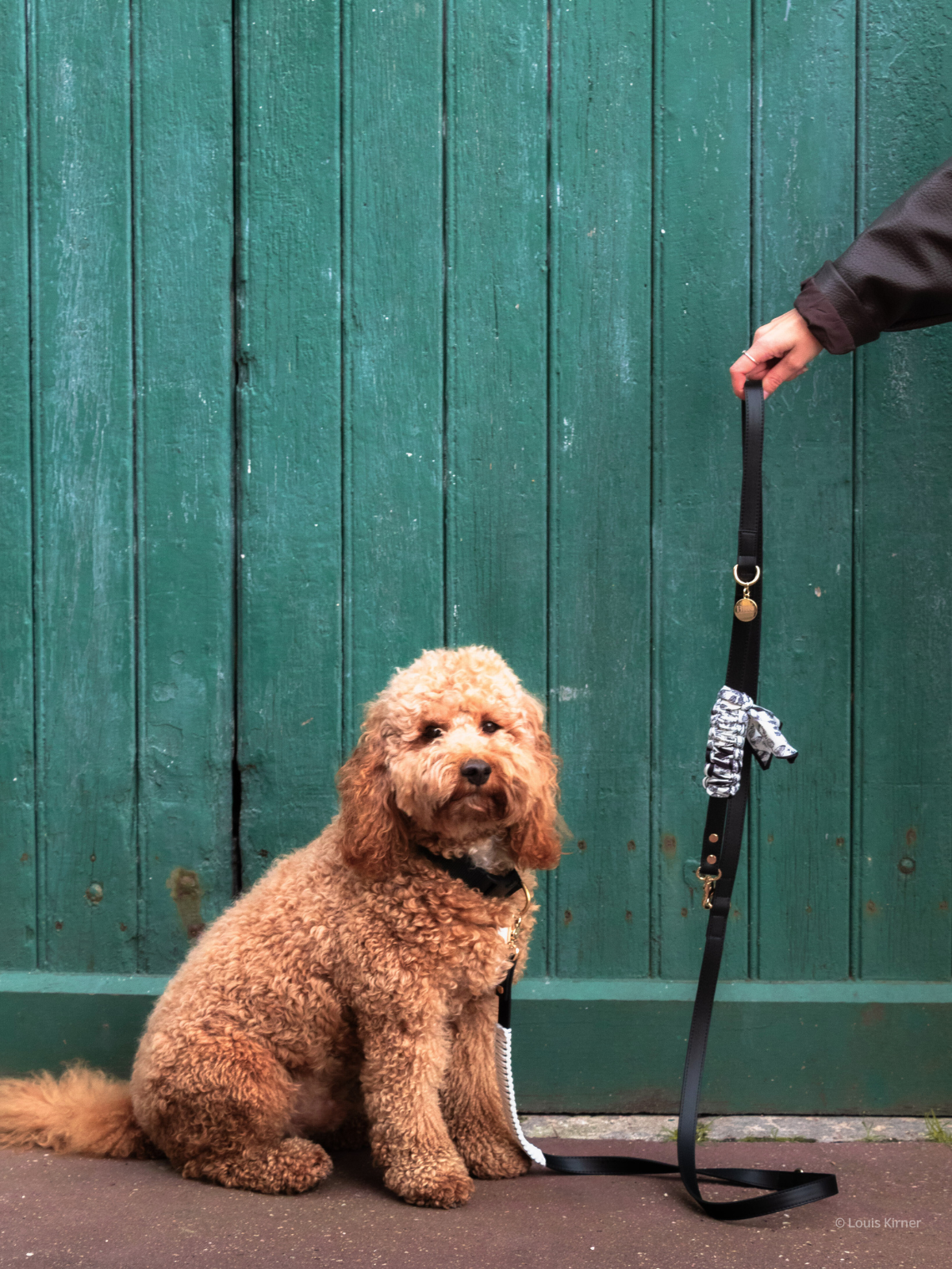 Multi-Position Dog Leash with Bandana | Vegan Leather | Hands-Free | Shadow