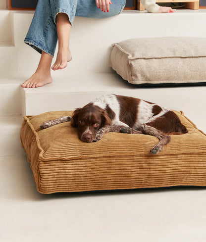 Dog lying on a brown pet bed with a person sitting on steps in the background.