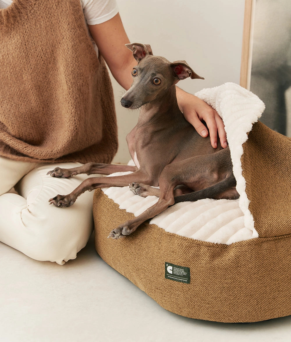 Corduroy Dog Bed with Mustard Hood – Maso (Removable & Washable)