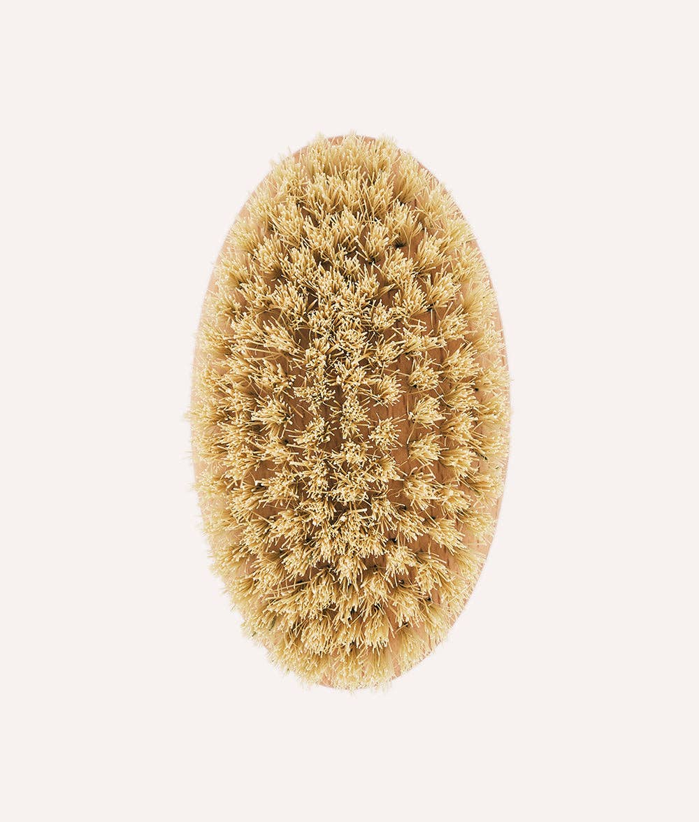 Natural bristle brush on a white background
