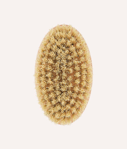 Natural bristle brush on a white background