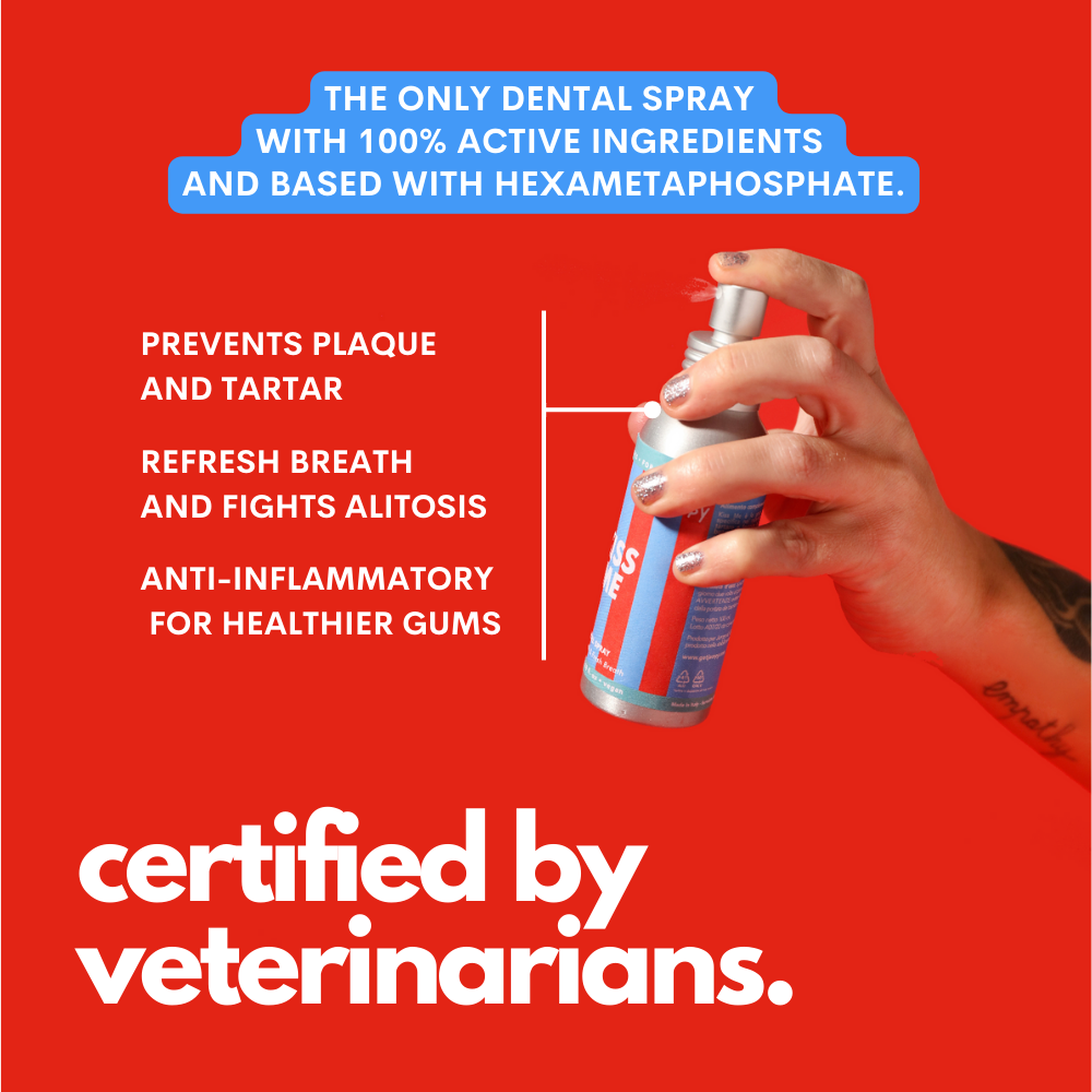 Hand holding a dental spray with product features on a red background