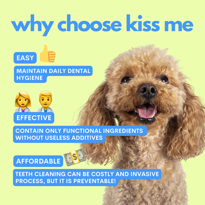Dog with text about dental hygiene products on a green background