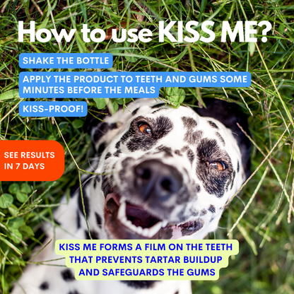 Dog with text on how to use a product, set against a grassy background