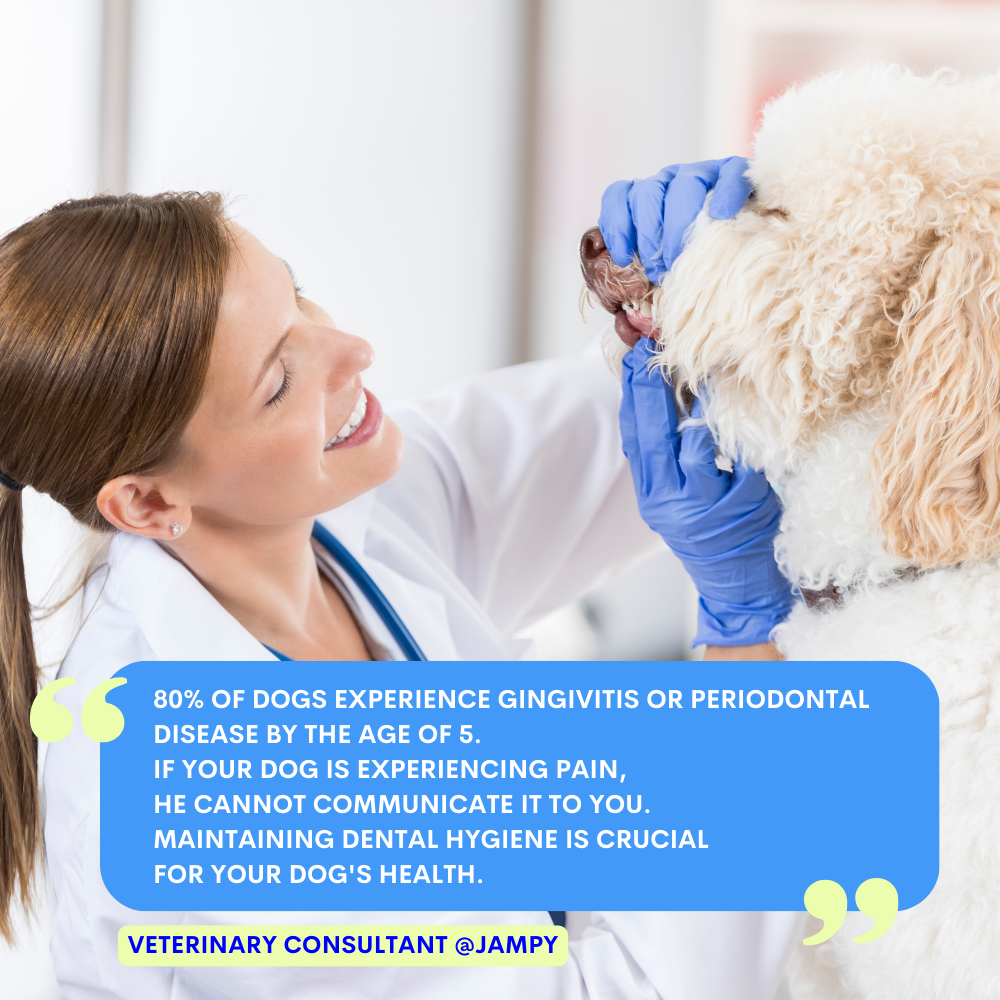 Veterinarian examining a dog's paw with text about dental hygiene.