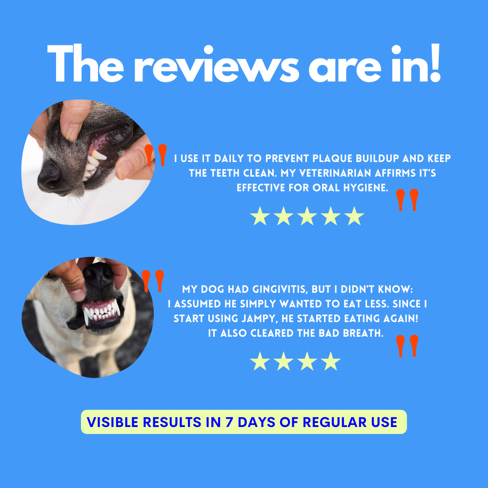 Advertisement for a dental product for dogs with customer testimonials on a blue background.