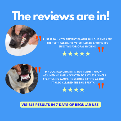 Advertisement for a dental product for dogs with customer testimonials on a blue background.