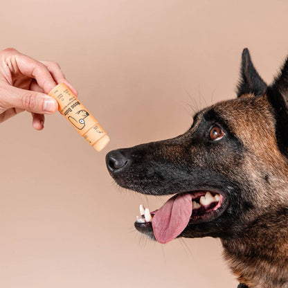 Dog being offered a supplement by a hand against a beige background