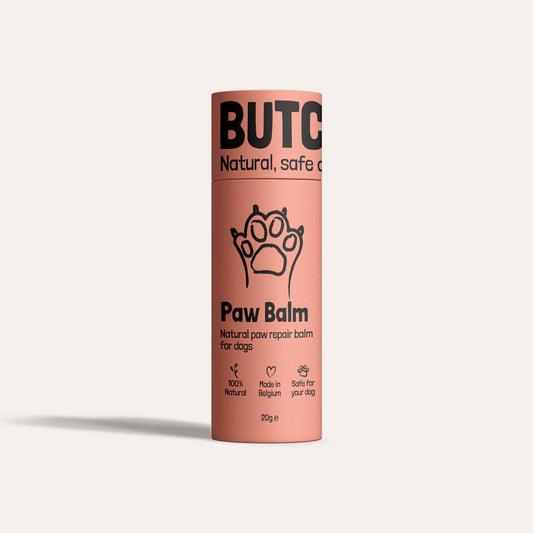 Butch Paw Balm for dogs on a white background