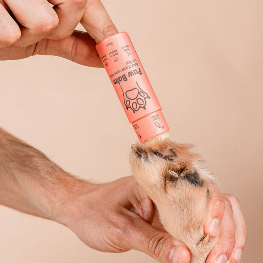 Person applying a pink paw balm to a dog's paw on a beige background