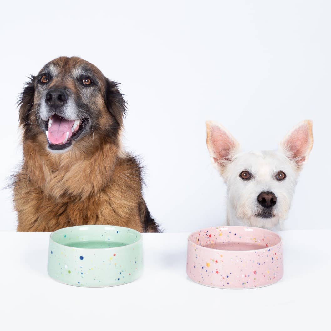 Two dogs with colorful pet bowls on a white background